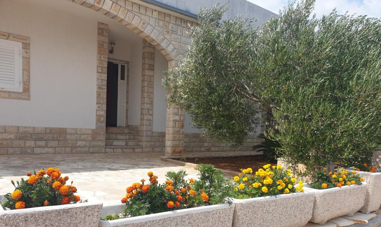 Villa Senka Nečujam Dış mekan fotoğraf