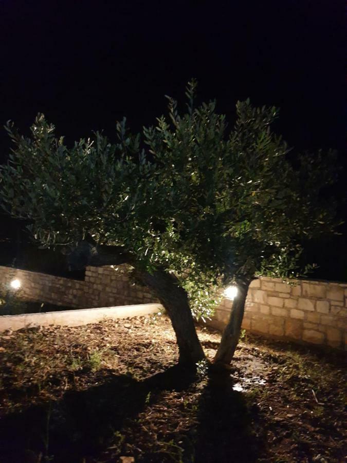 Villa Senka Nečujam Dış mekan fotoğraf
