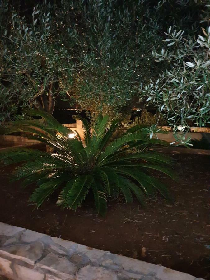 Villa Senka Nečujam Dış mekan fotoğraf